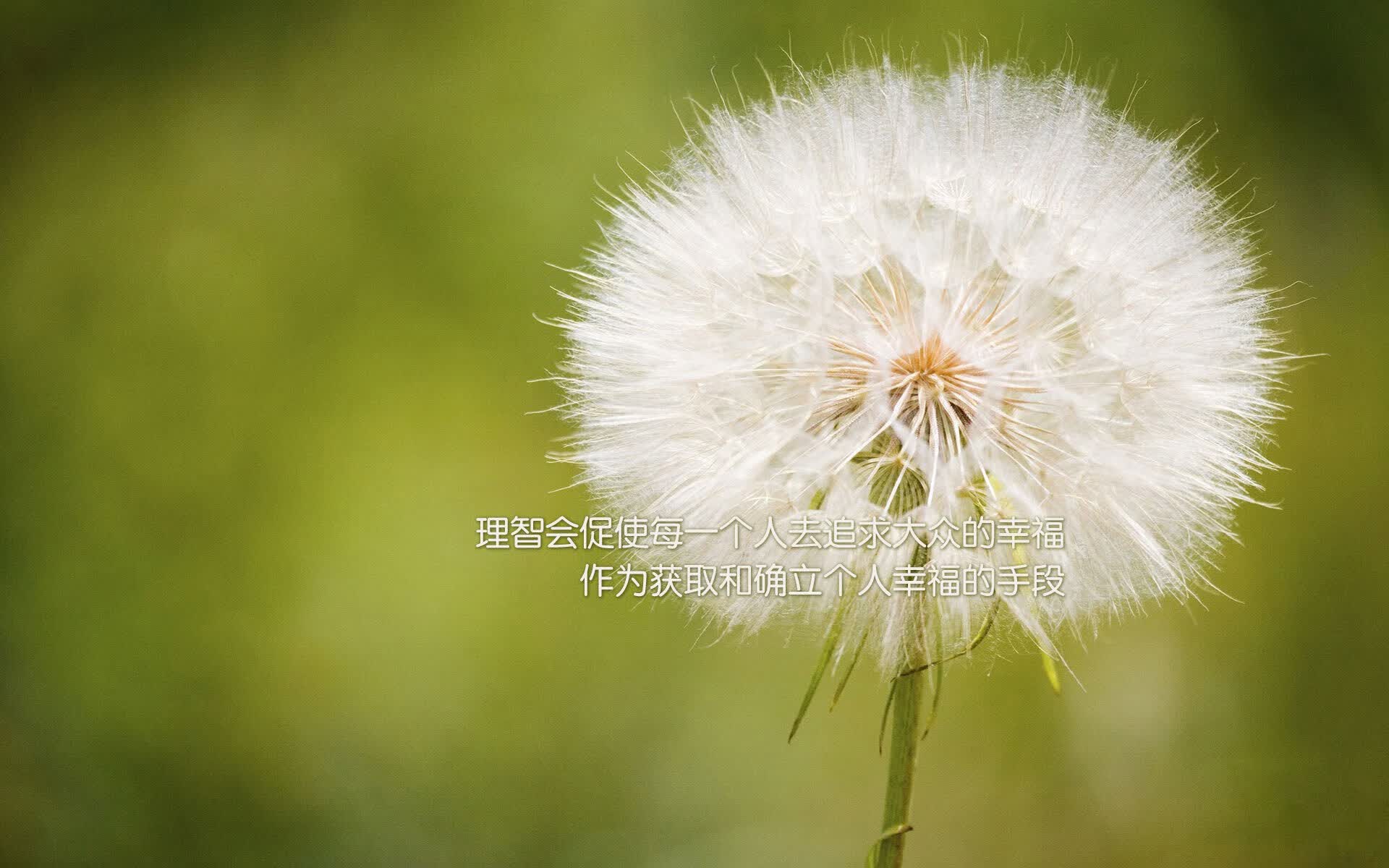 发动机部件介绍视频大全图片（发动机部件介绍视频大全图片欣赏）